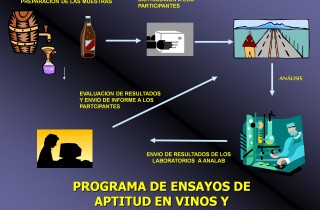 PROGRAMA DE ENSAYOS DE APTITUD EN VINOS Y ALCOHOLES PVA-2020